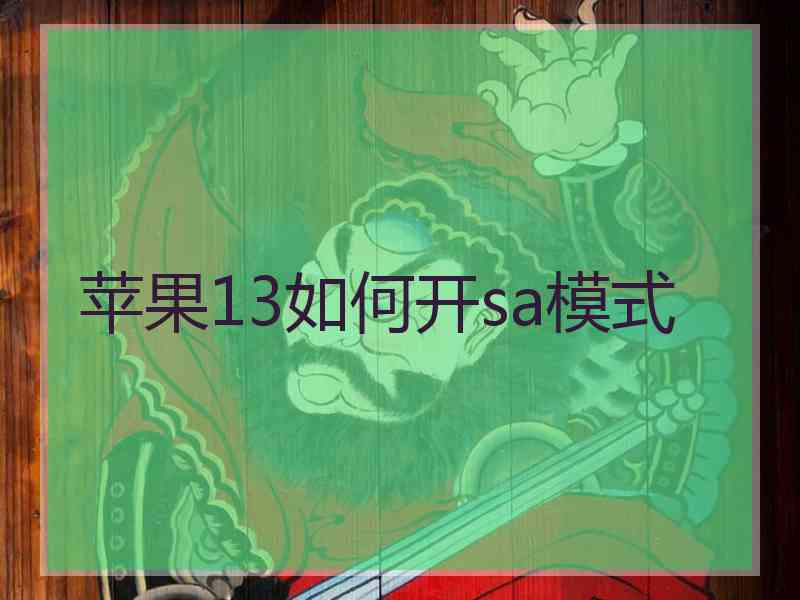 苹果13如何开sa模式