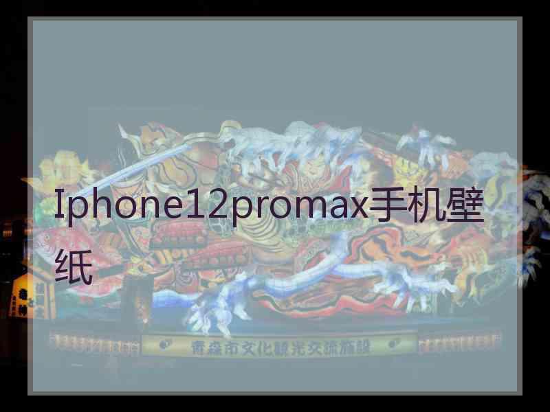 Iphone12promax手机壁纸