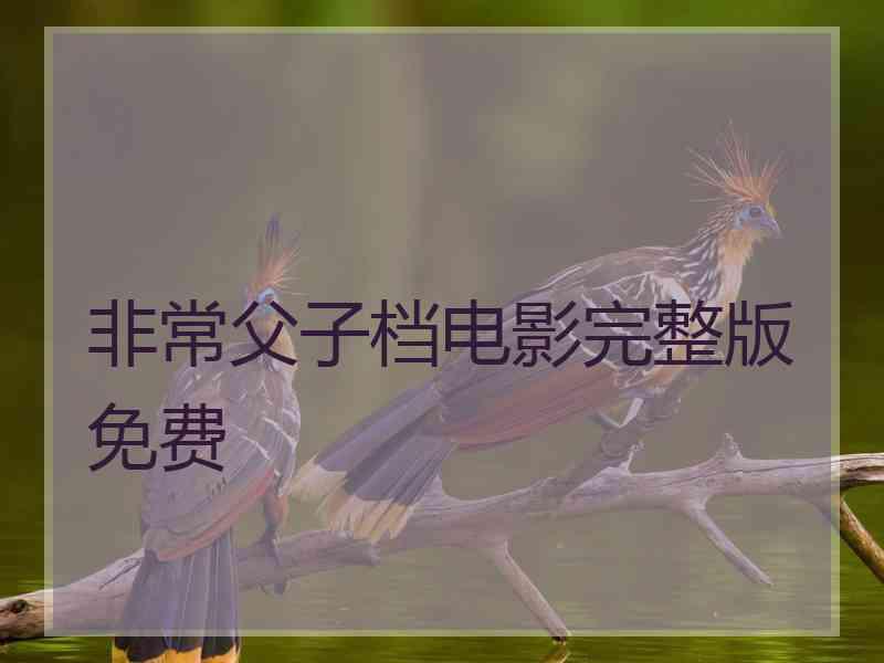 非常父子档电影完整版免费