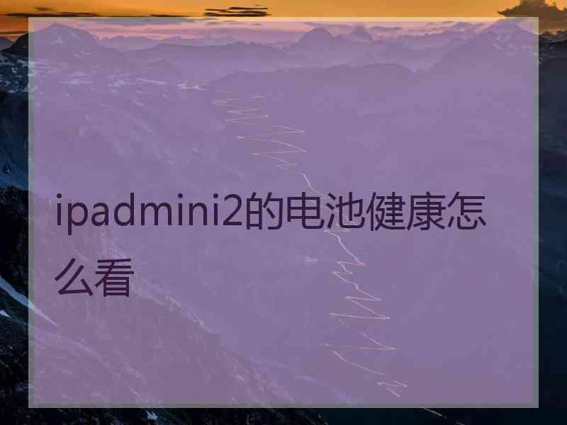 ipadmini2的电池健康怎么看