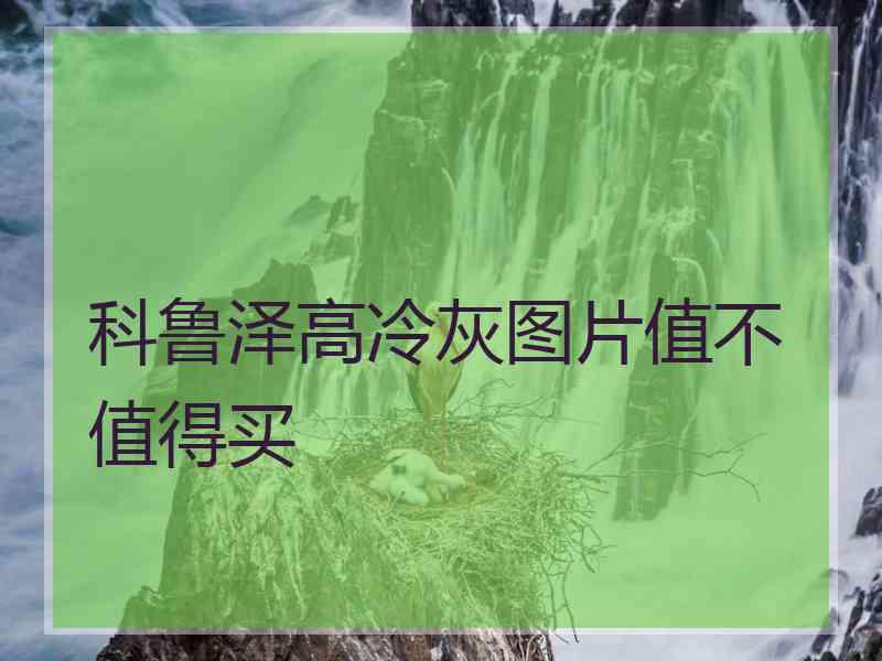 科鲁泽高冷灰图片值不值得买