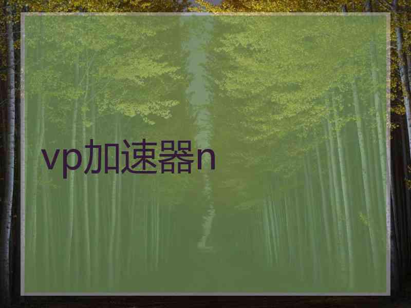 vp加速器n