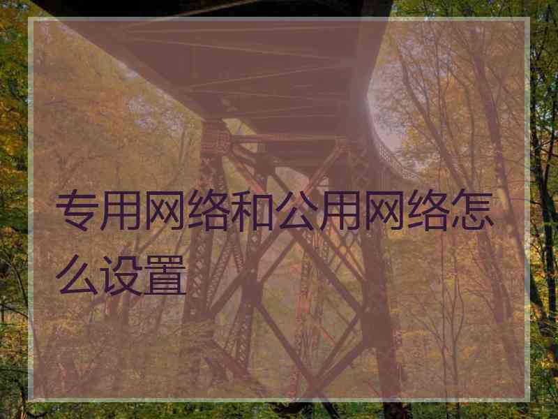 专用网络和公用网络怎么设置