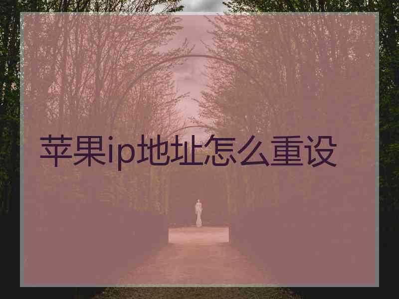 苹果ip地址怎么重设