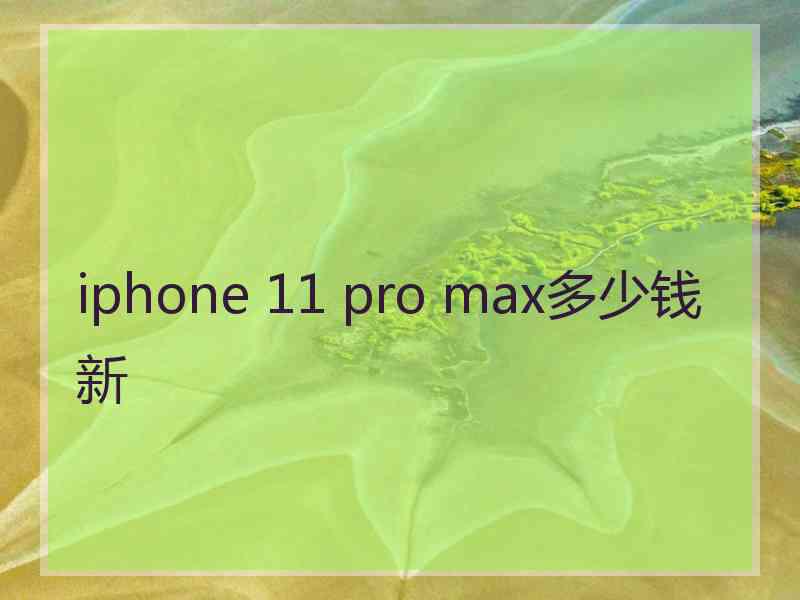 iphone 11 pro max多少钱新