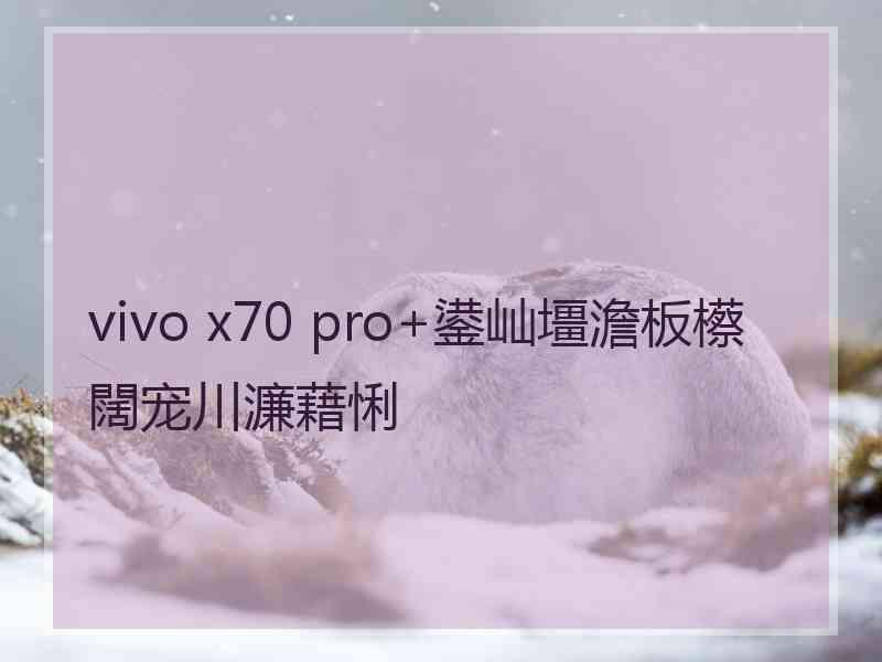 vivo x70 pro+鍙屾壃澹板櫒闊宠川濂藉悧