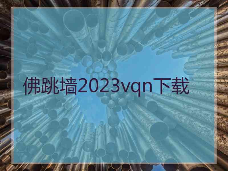 佛跳墙2023vqn下载