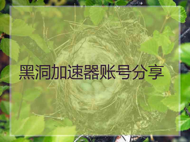 黑洞加速器账号分享