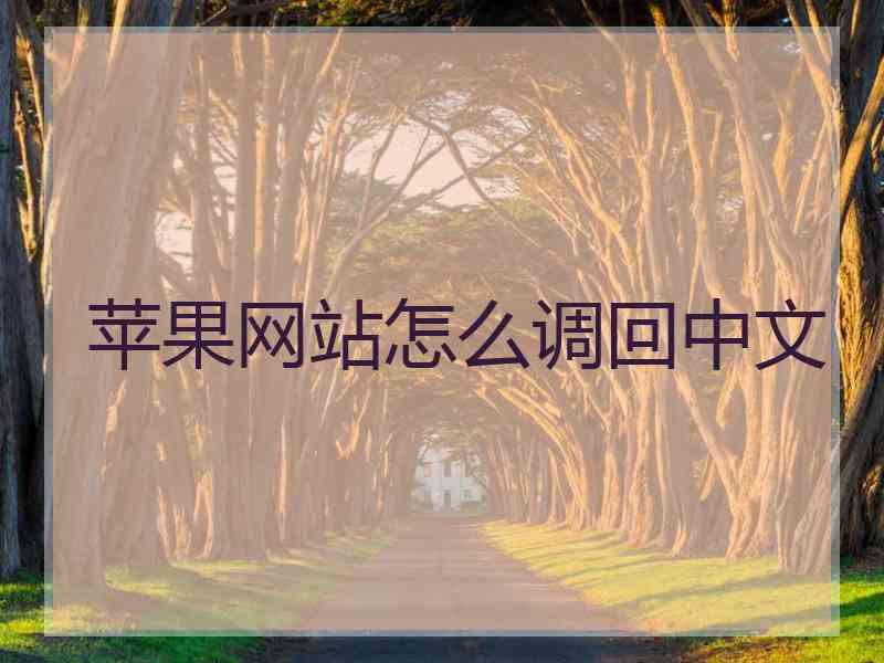 苹果网站怎么调回中文