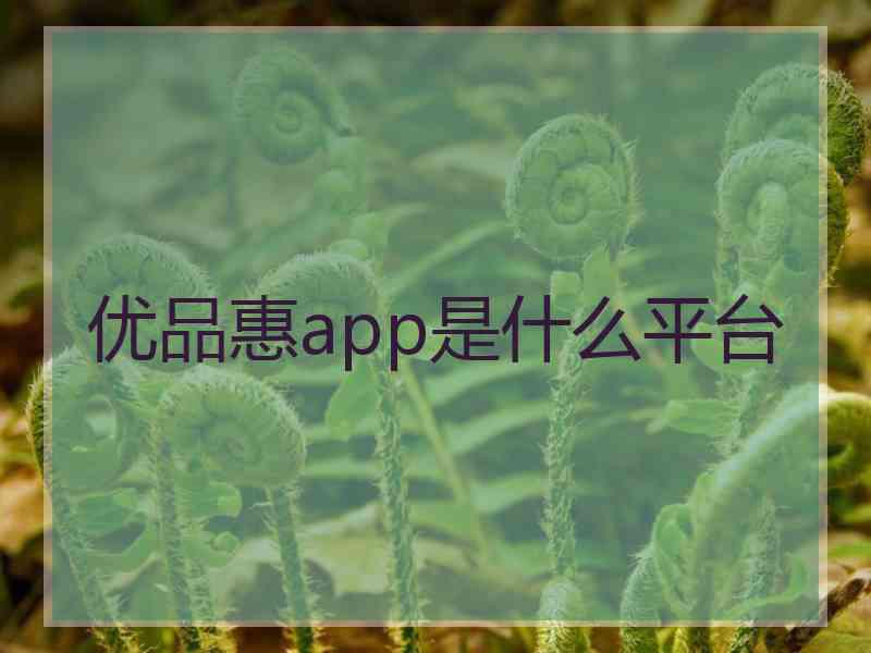 优品惠app是什么平台