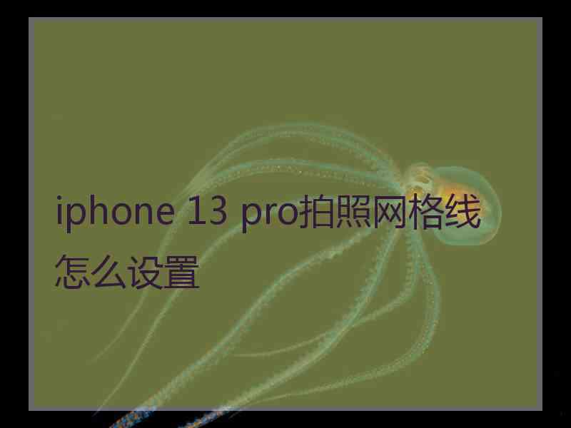 iphone 13 pro拍照网格线怎么设置