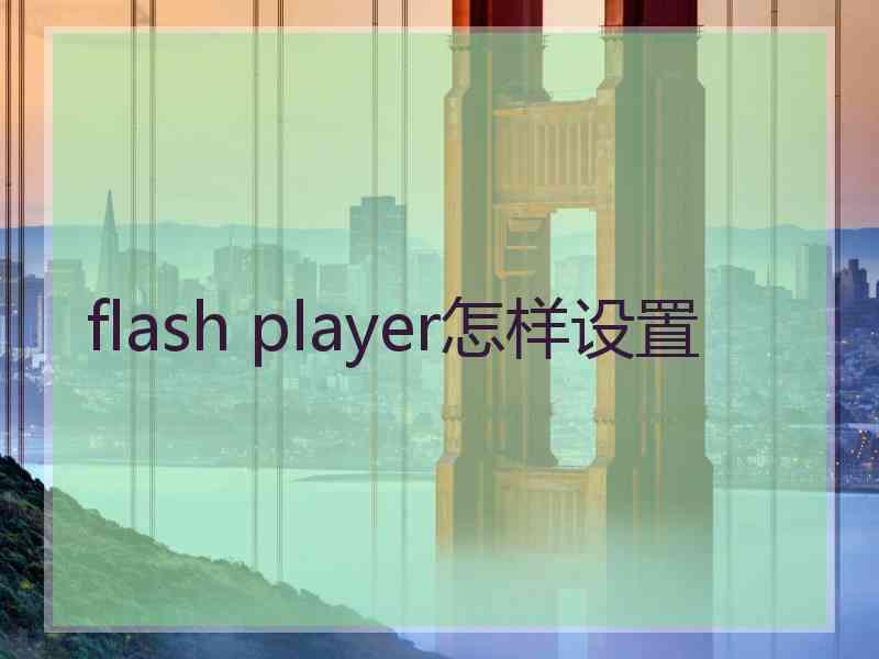 flash player怎样设置