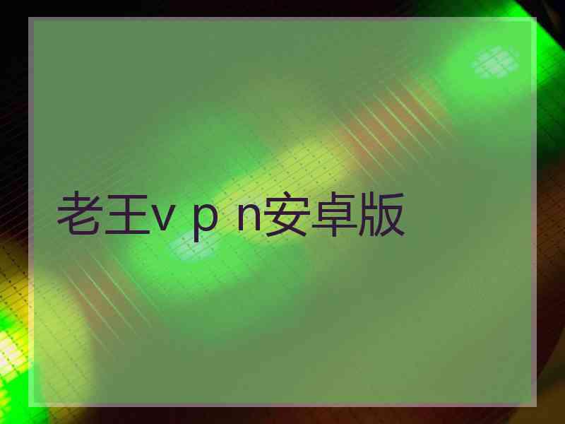 老王v p n安卓版