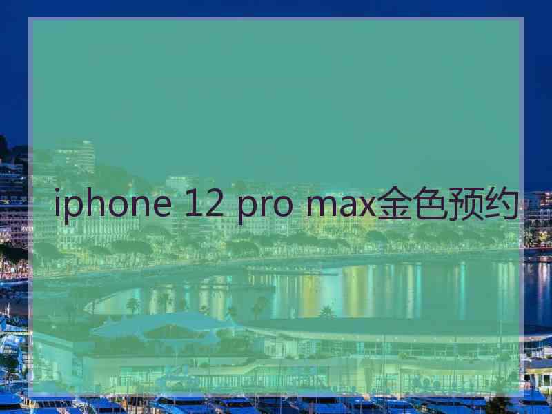 iphone 12 pro max金色预约