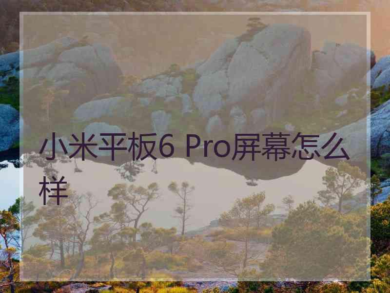 小米平板6 Pro屏幕怎么样