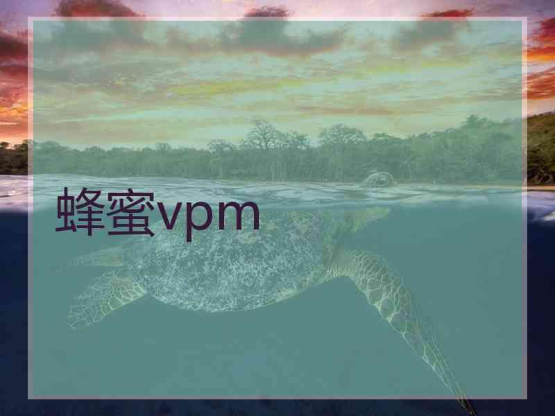 蜂蜜vpm