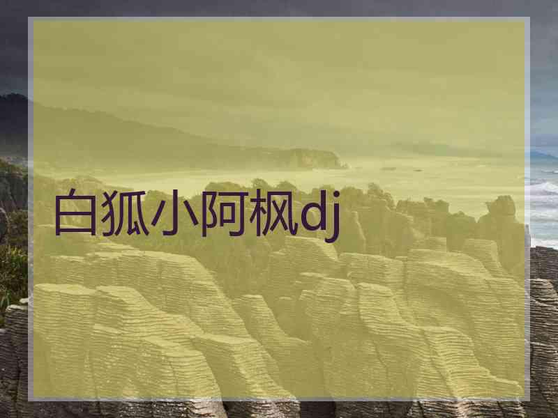 白狐小阿枫dj