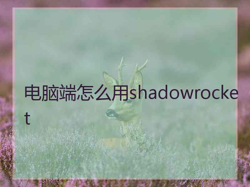 电脑端怎么用shadowrocket