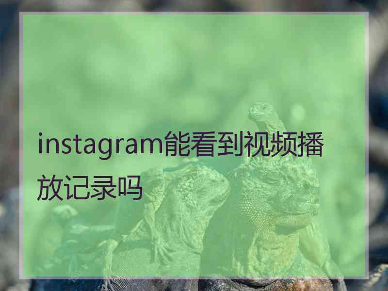 instagram能看到视频播放记录吗