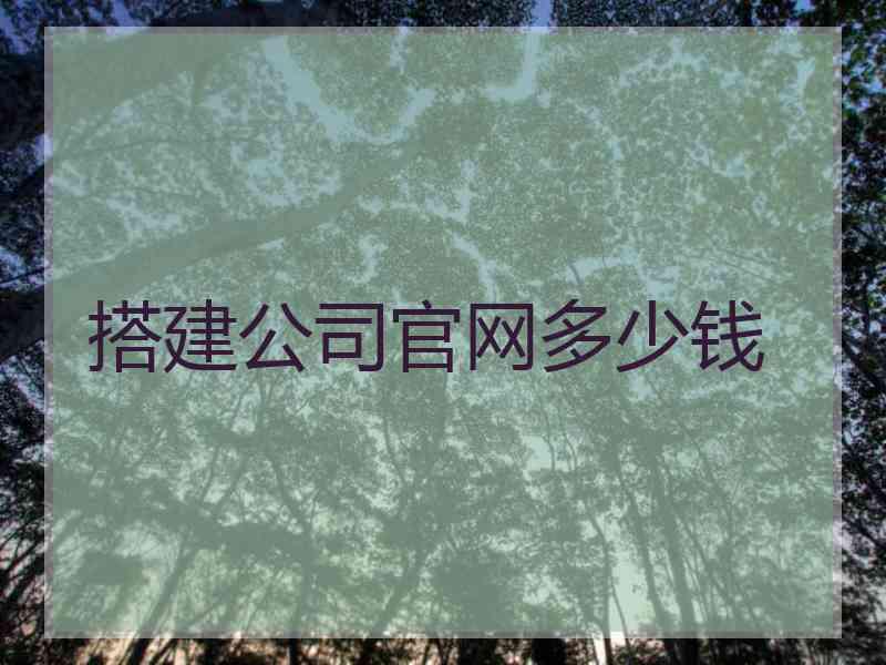 搭建公司官网多少钱