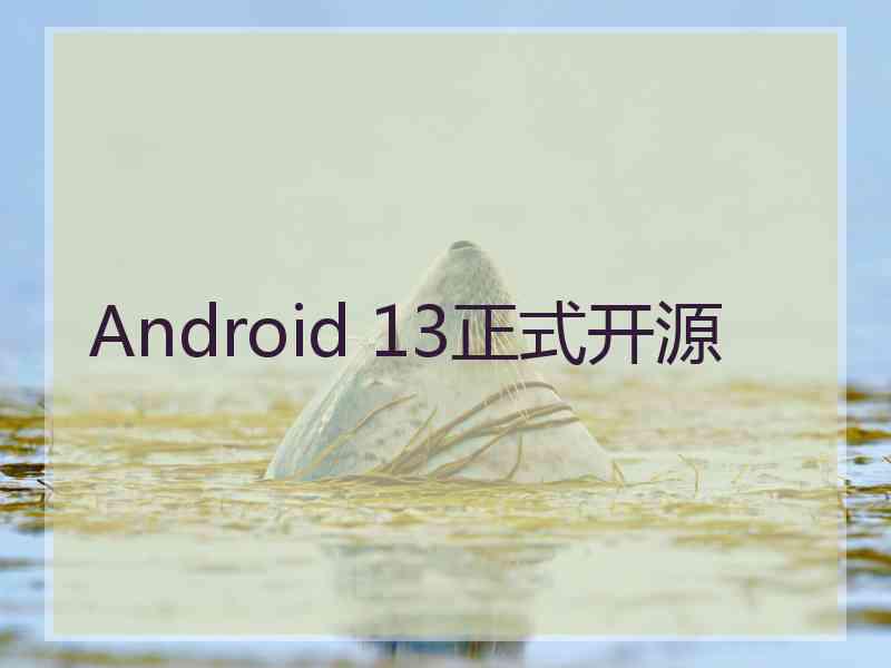 Android 13正式开源