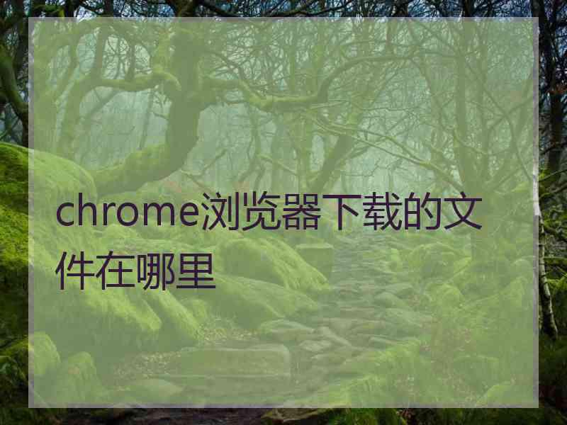 chrome浏览器下载的文件在哪里