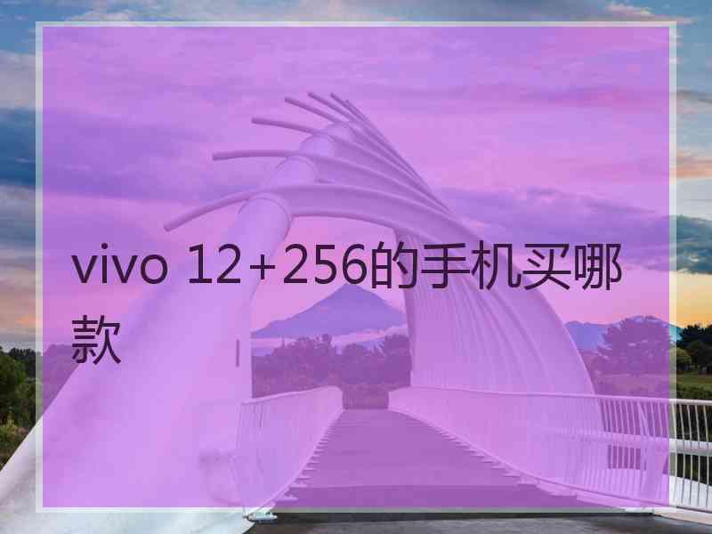 vivo 12+256的手机买哪款