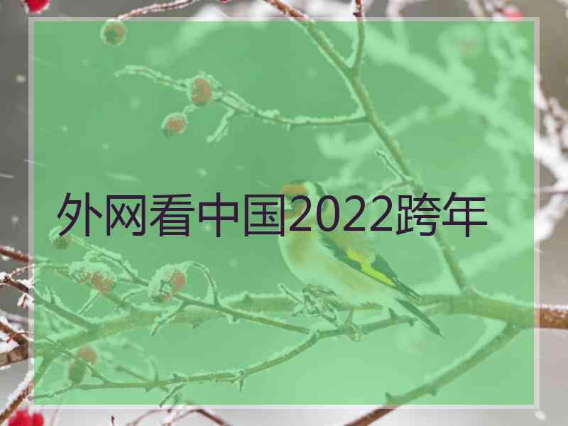 外网看中国2022跨年