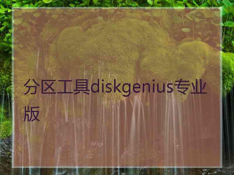 分区工具diskgenius专业版