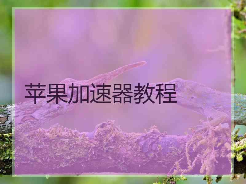 苹果加速器教程