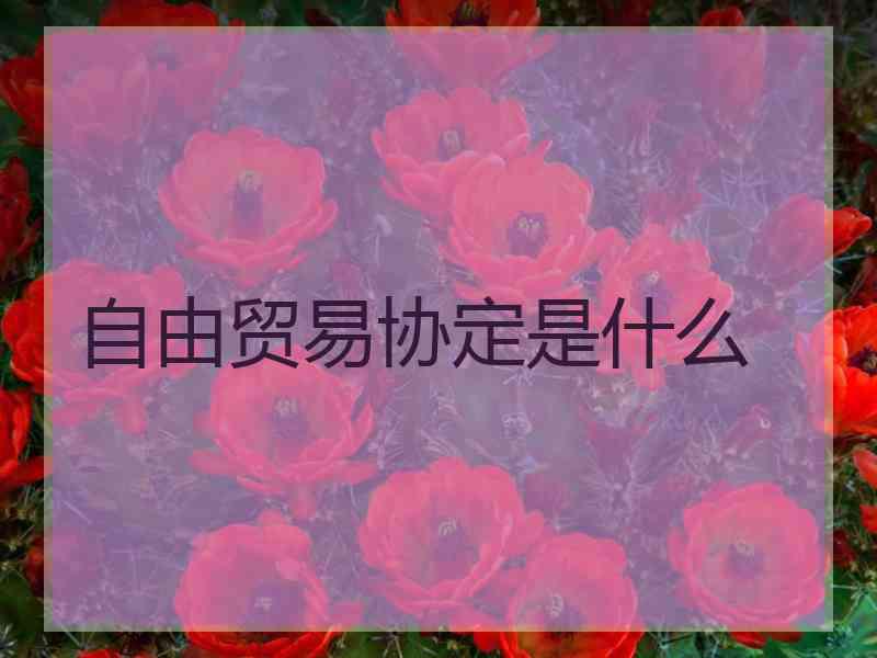 自由贸易协定是什么