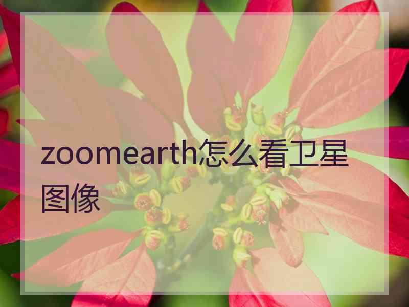 zoomearth怎么看卫星图像