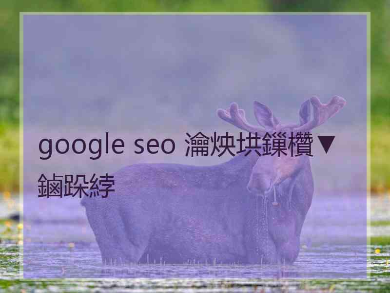 google seo 瀹炴垬鏁欑▼鏀跺綍