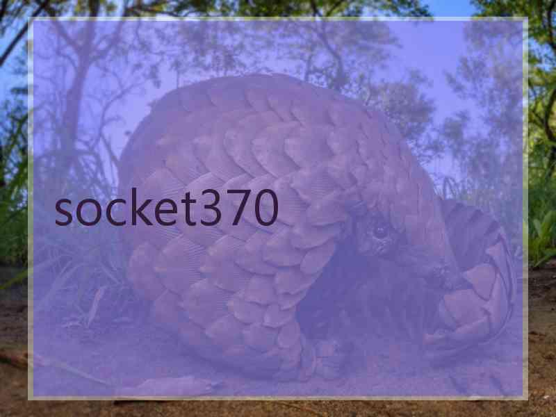 socket370