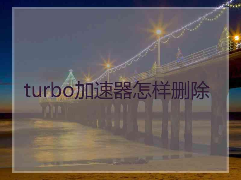 turbo加速器怎样删除