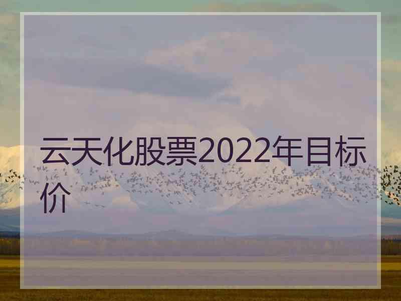 云天化股票2022年目标价