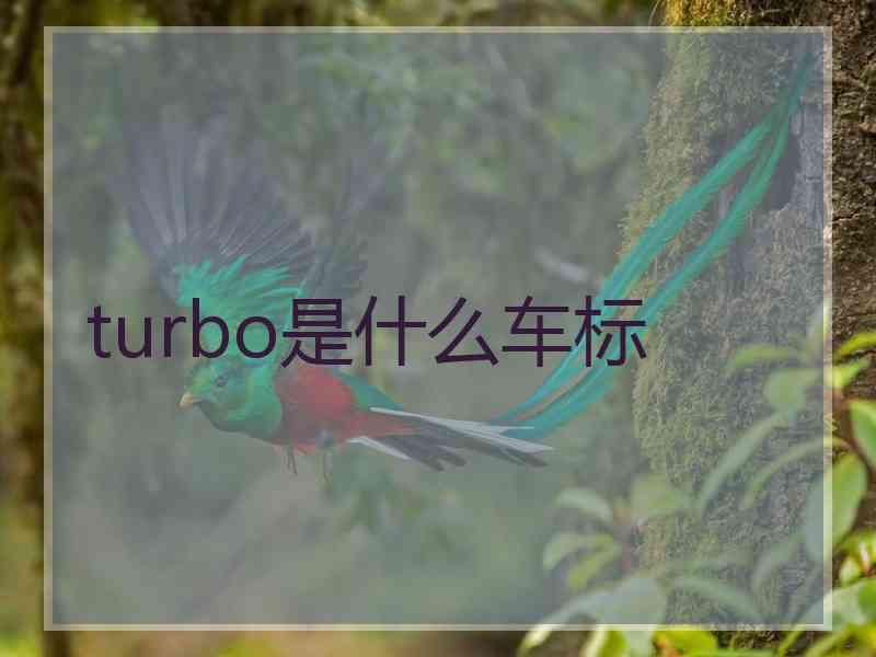 turbo是什么车标