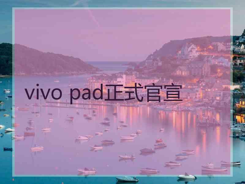 vivo pad正式官宣