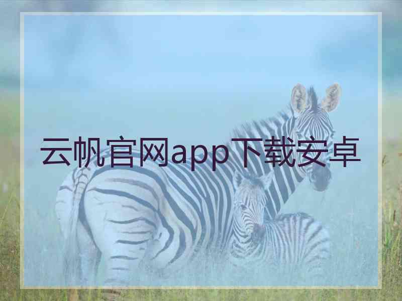 云帆官网app下载安卓