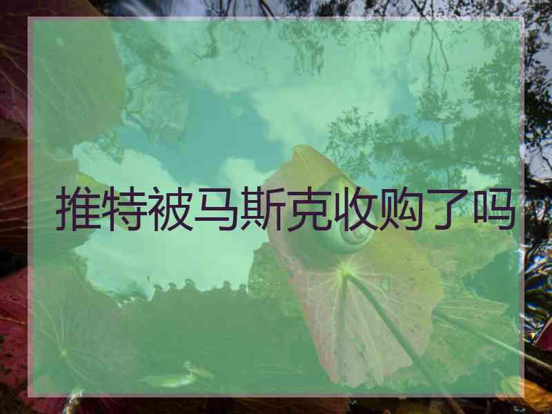 推特被马斯克收购了吗