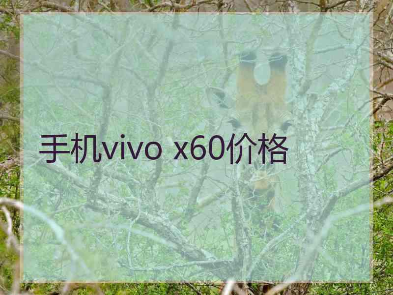 手机vivo x60价格