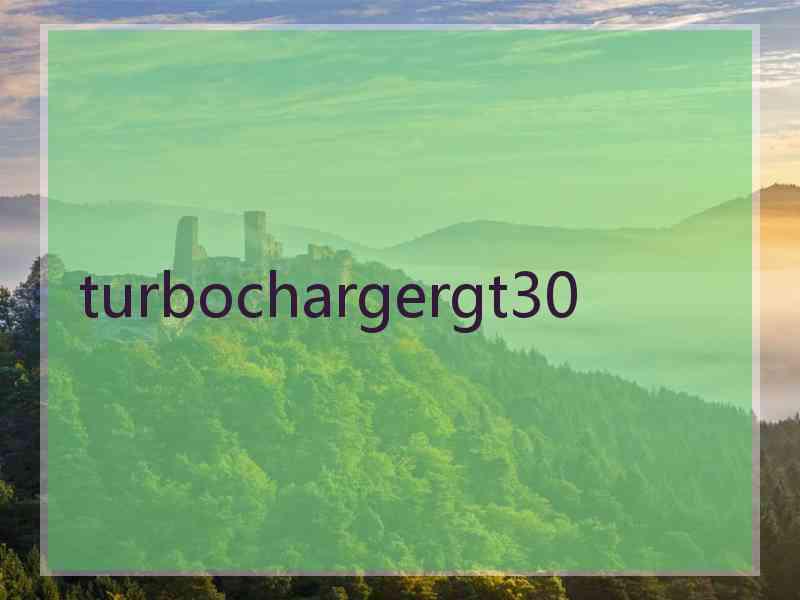 turbochargergt30