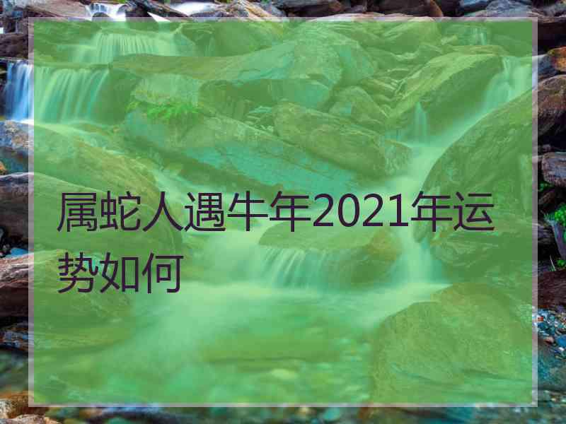 属蛇人遇牛年2021年运势如何