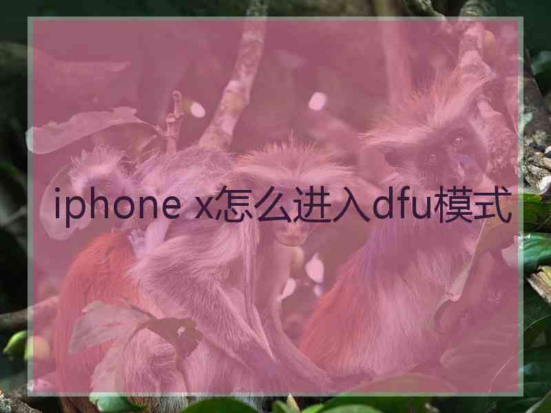 iphone x怎么进入dfu模式