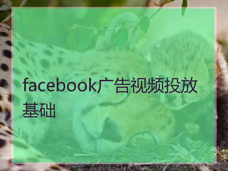 facebook广告视频投放基础