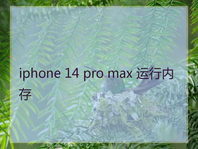 iphone 14 pro max 运行内存