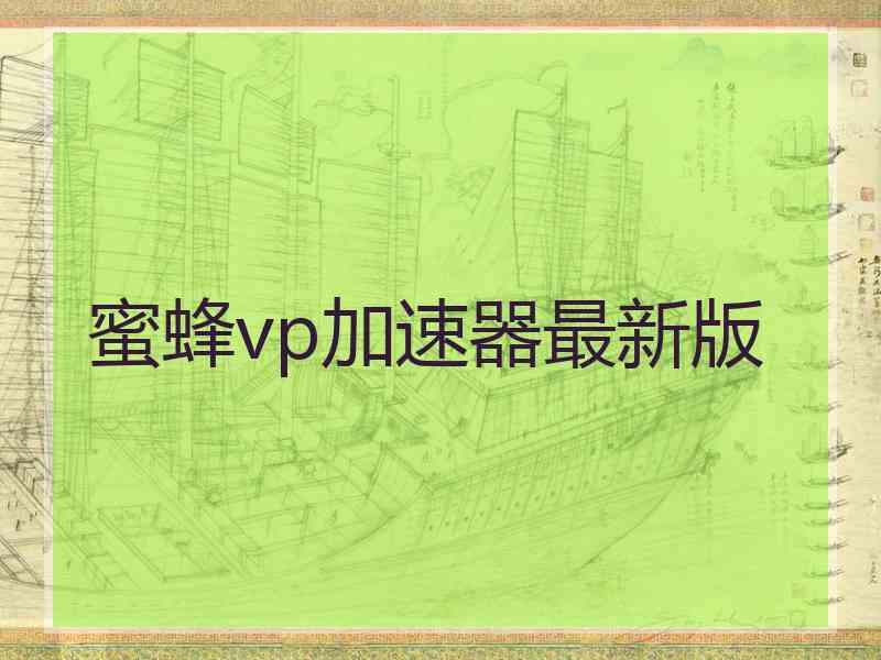 蜜蜂vp加速器最新版