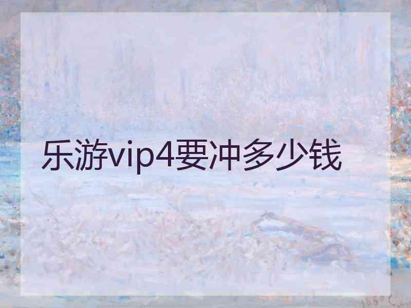 乐游vip4要冲多少钱