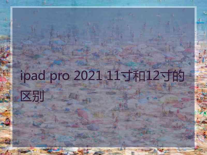 ipad pro 2021 11寸和12寸的区别