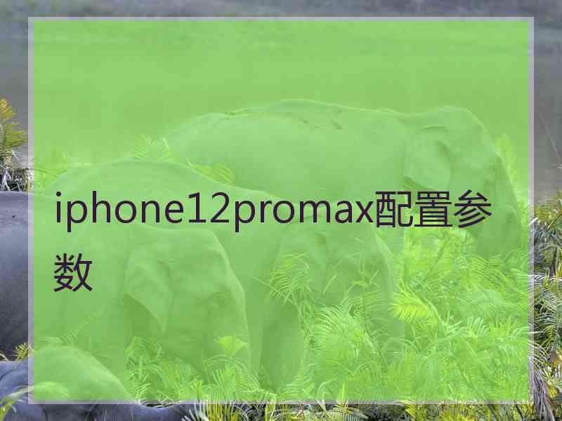 iphone12promax配置参数